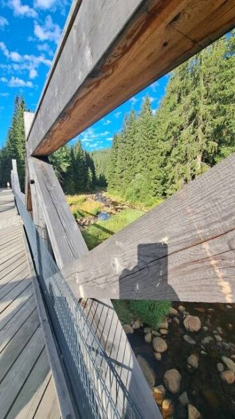 2025/08 Šumava – Ivan Straškraba a přátelé