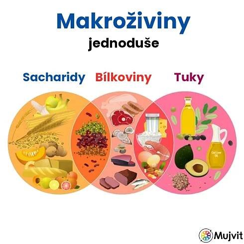 Mikroživiny vs makroživiny