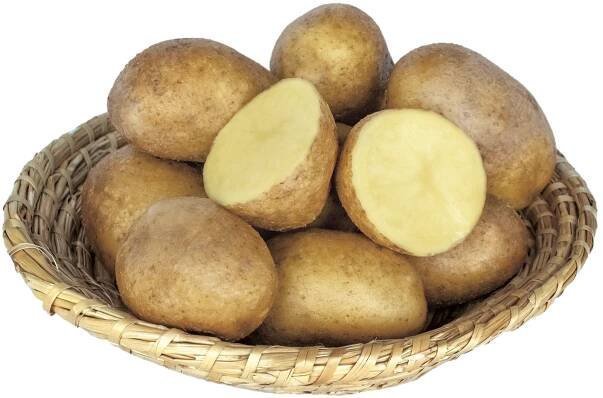 Česká technologická platforma rostlinných biotechnologií - Zajímavosti