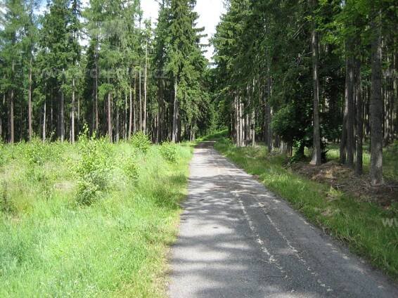 Rejkovice, hradiště Plešivec - archeolog.cz