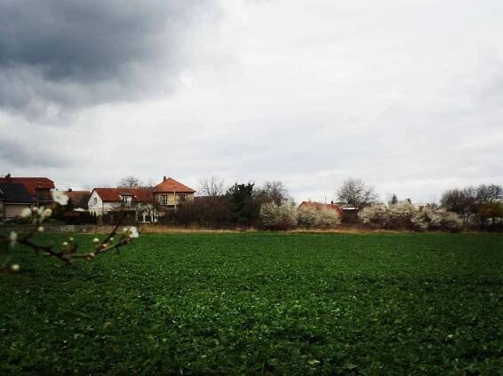 Prodej Pozemek, Heřmanův Městec - Chotěnice, okres Chrudim