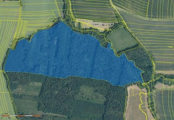Prodej lesa 2770 m2, Skalička - Reality Přerov
