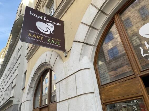 Zážitková prodejna káv a čajů Kopi Luwak: Objevte svět výběrové kávy v srdci Brna – BRNO Today – Zajímavosti ze štatlu!