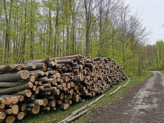 Šárka - výlet Kladnatá přes Pavlovu horečku z Frenštátu pod Radhoštěm - Vrcholovka.cz