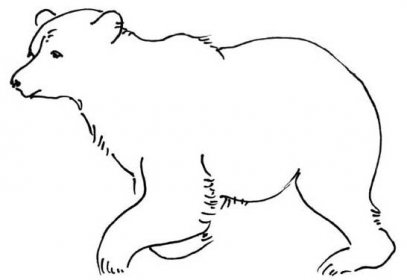 schválenie atletický tápanie kresleni medved prosím lobby surový
