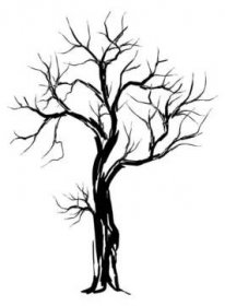 Ilustrace vektoru mrtvého stromu. uschlý ručně kreslený strom. — Ilustrace