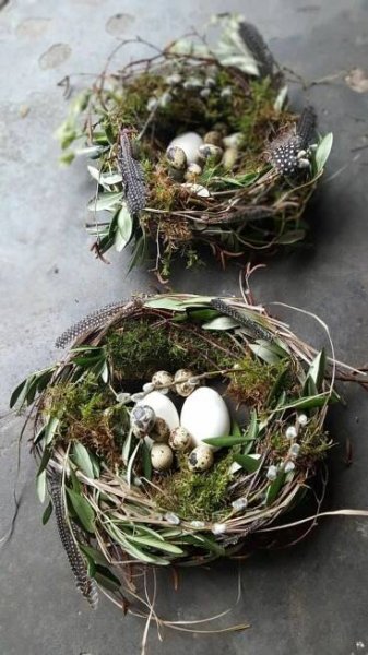 two birds nests with moss and eggs in them