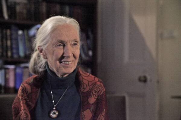 Velké momenty evoluce - Z filmu - Jane Goodall