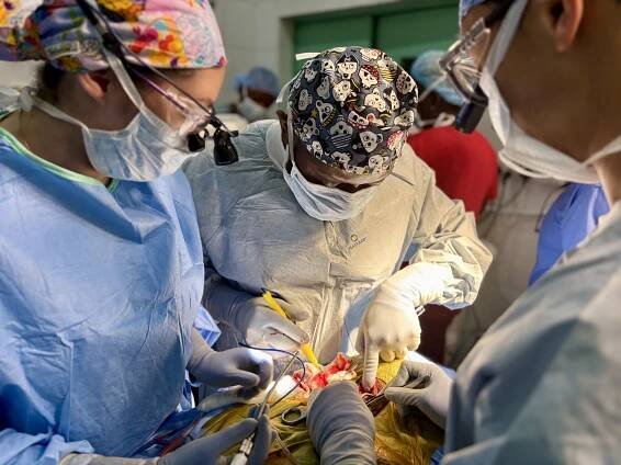 One neurosurgeon, 8 million patients