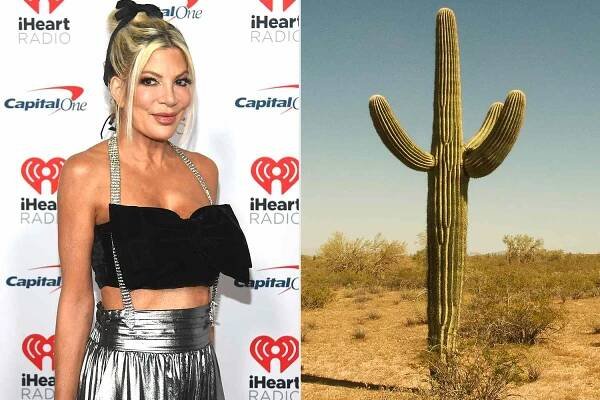 Tori Spelling Says 'I Don't Drink Water,' Insists 'I'm Like a Cacti'