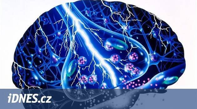 Když se mozek vzbouří: co se děje při epilepsii - iDNES.cz