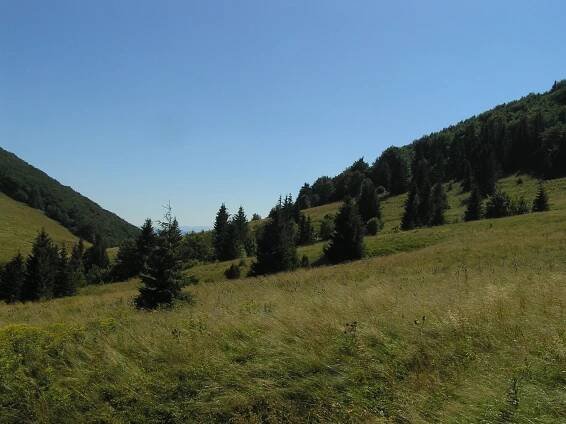 Sedlo Osnica - Sedlo