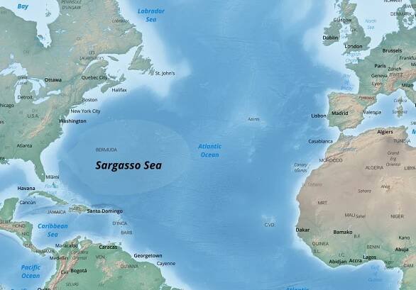 Location map showing where the Sargasso Sea is located.  The base map is a tinted topography map showing the surrounding continents and a blue ocean.