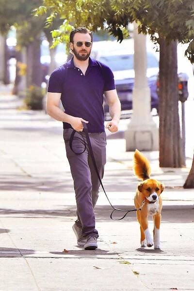 Hot Hollywood Celebrities Walking Their Dogs