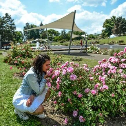 Rozárium Olomouc | Výstaviště Flora Olomouc, a. s.