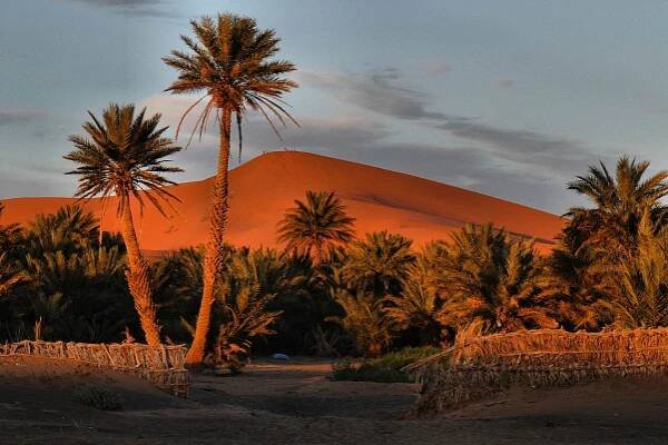 Živá poušť Erg Chebbi: Opravdový přírodní skvost severní Afriky | 100+1 zahraniční zajímavost