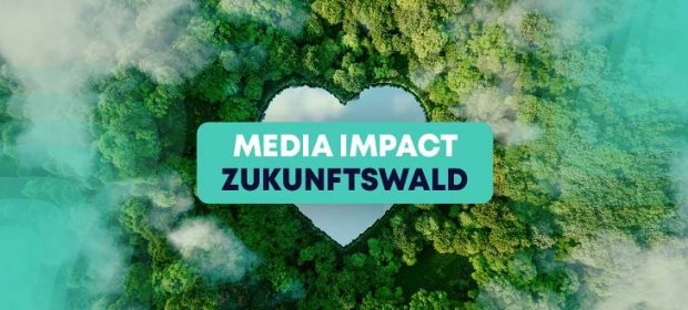 GREEN ID | Media Impact