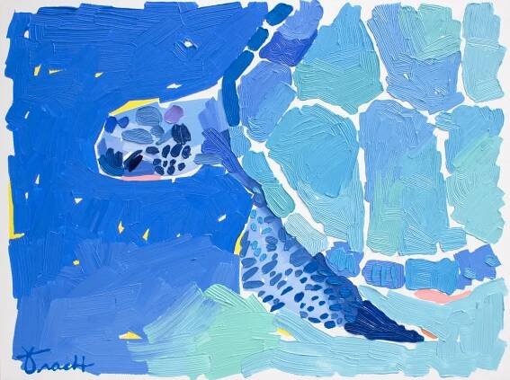 Tracht Alligator Reef Blue Turtle 2 small.jpg