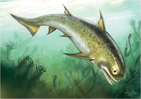 Acanthodii