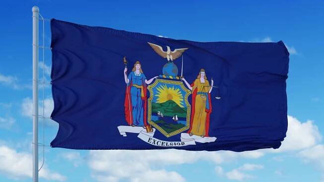 FPF Submits Comments to Inform New York Children’s Privacy Rulemaking Processes - Future of Privacy Forum