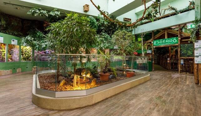 Idegenvezetés - Tropicarium - A cápás állatkert - Tropicarium a cápás állatkert