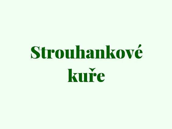 Strouhankové kuře