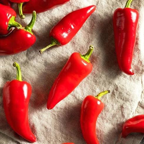 Bright red fresno peppers resting on tan linen fabric.