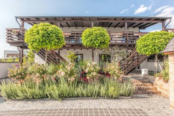 Apartmány Pod Pálavou - Fotogalerie, Fotografie Pálava