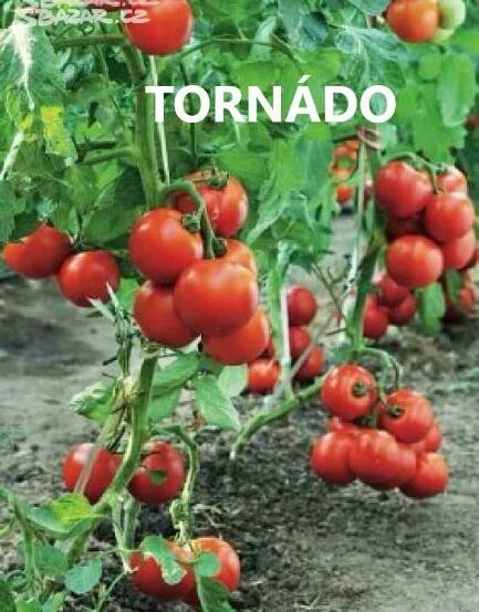 Sadby a přísady zeleniny | AGRI Slatinice
