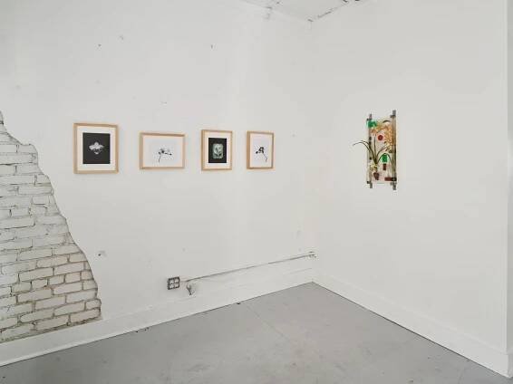 Megan Baker- Orchid Room — Martha's