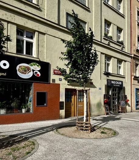 Pronájem bytu 3+kk 95 m², Nuselská - Green Valley Reality