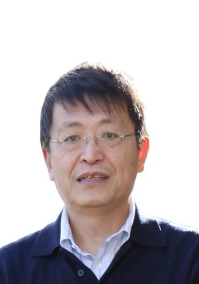 About Wu Consulting