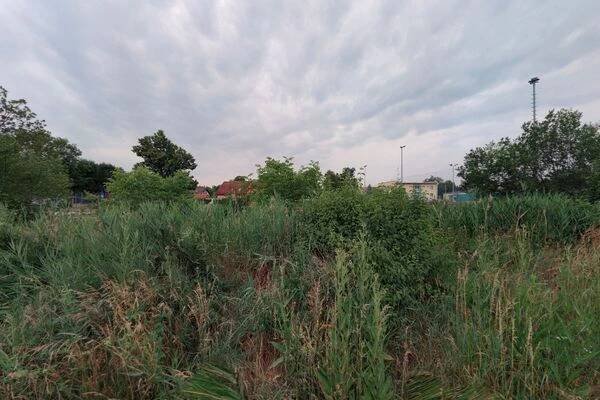 Rekreační rybník Březiněves foto 1
