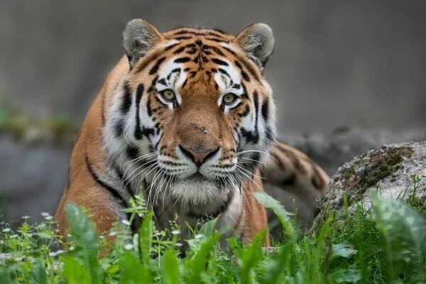 Zoo Schmiding – Lernen außerhalb des Klassenzimmers – Zoo und Aquazoo Schmiding