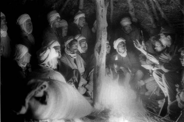 Die Filme von Peter und Zsóka Nestler – Jugend ohne Film