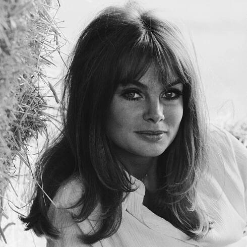 Jean Shrimpton Bombshell Hair Tips and Tricks