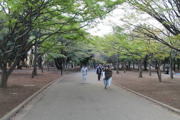 Day 8 – 05.04: Youtube Hanami Party 2014