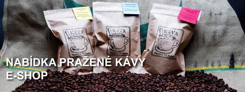 Kolping.cz | Kolpingovo dílo ČR Kolping.cz