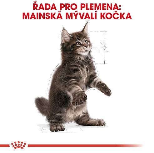 Royal Canin Maine Coon Kitten 10 kg