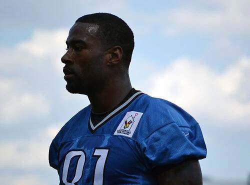 Calvin Johnson - Wikipedia