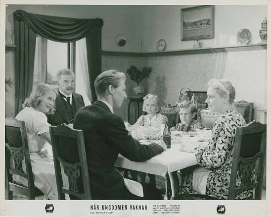 Sven Bergvall, Anders Ek, Marianne Löfgren - När ungdomen vaknar - Fotosky