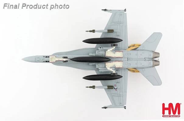 F/A-18D Hornet USMC VMFA(AW)-242 Bats, DT01, Yokota AB, Japan, August 2020 | Sběratelské modely letadel, tanků a vojenské