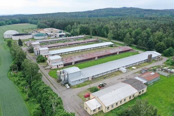 VVM zavidkovice 3 | Maso a uzeniny z Českého Dvora