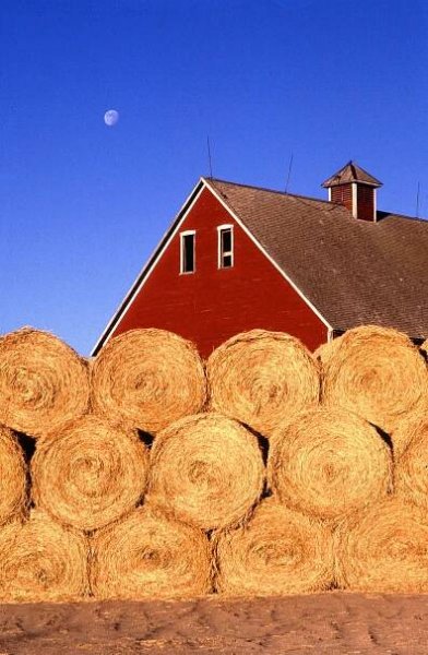 File:Bales of hay.jpg - Wikimedia Commons