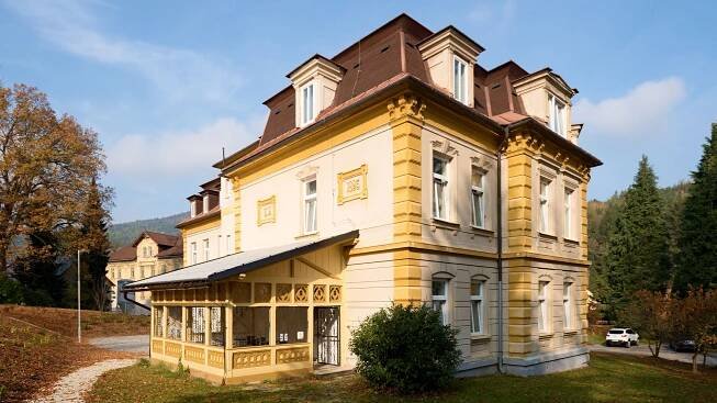 Villa Louise***