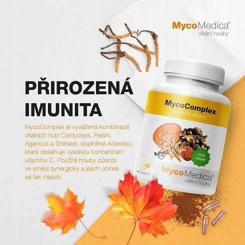 MycoMedica MycoComplex 90 kapslí, doplněk stravy Název MycoComplex Doplněk stravy