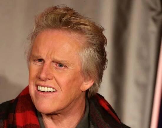 Gary Busey Net Worth | Celebrity Net Worth
