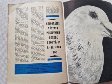 Poštovní holubářství - Bulletin věstník klubu 1965 holub chovatel - Odborné knihy