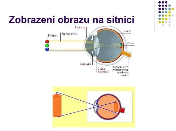 Smysly – Materiály pro žáky ZŠ