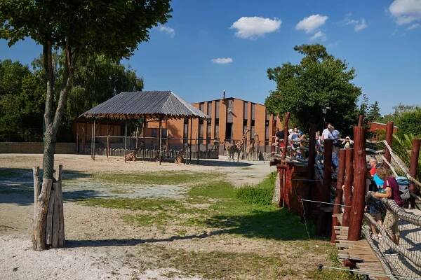 Safari Park Dvůr Králové měl o prázdninách návštěvu jako loni